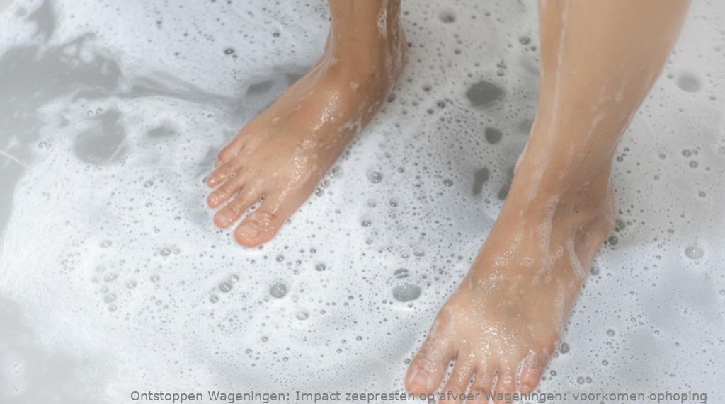 Impact zeepresten op afvoer Wageningen: voorkomen ophoping